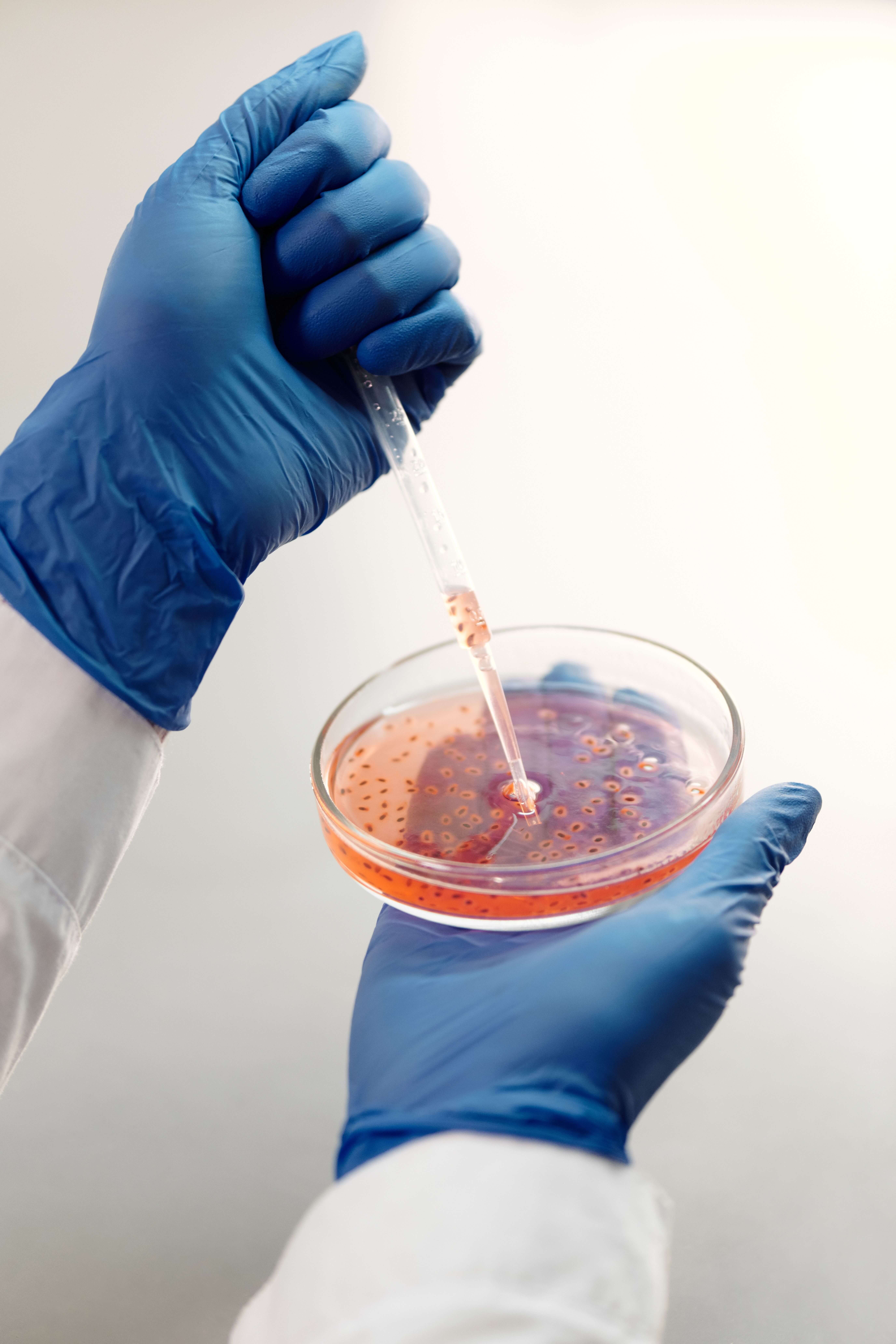One Injection, 96% Cholesterol Drop: Gene Therapy Breakthrough Published in Nature Medicine